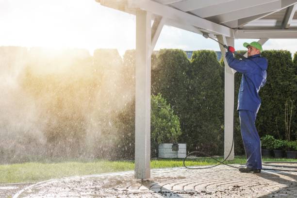 Best Sidewalk and Walkway Cleaning  in Bethel Island, CA